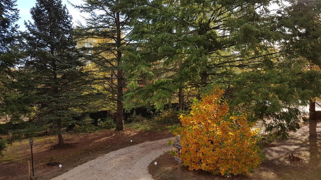 Le Clos Des Ecureuils Vouzon Kültér fotó