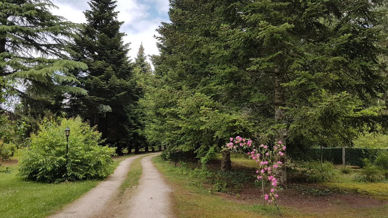 Le Clos Des Ecureuils Vouzon Kültér fotó