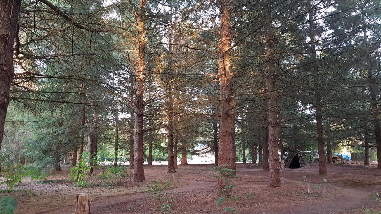 Le Clos Des Ecureuils Vouzon Kültér fotó