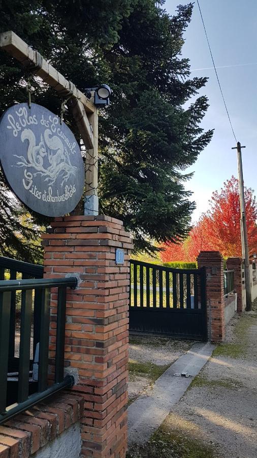 Le Clos Des Ecureuils Vouzon Kültér fotó