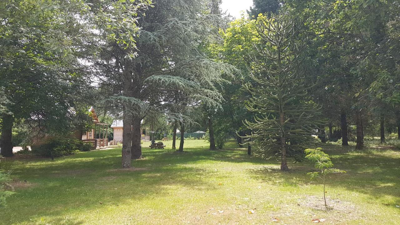 Le Clos Des Ecureuils Vouzon Kültér fotó
