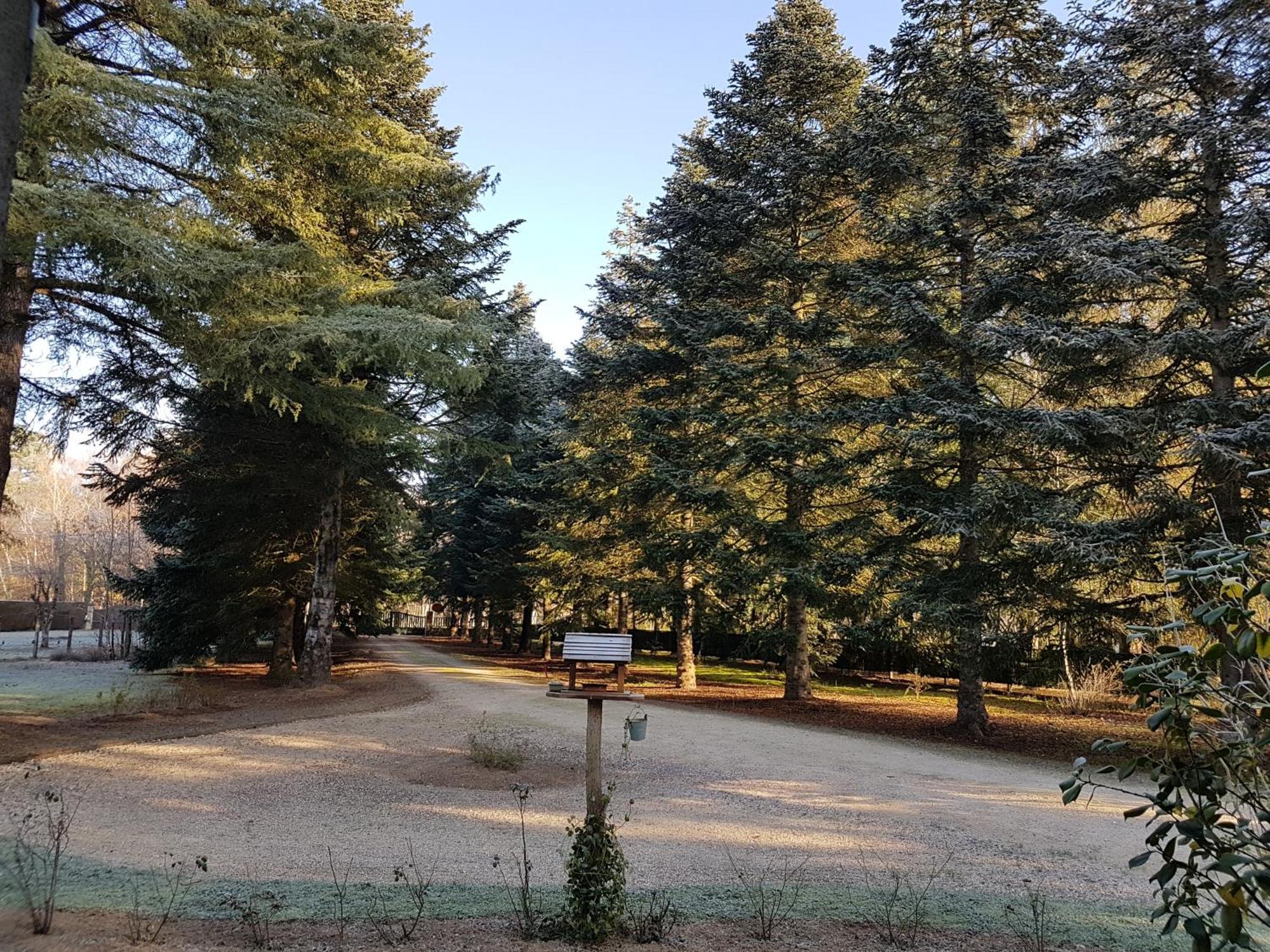 Le Clos Des Ecureuils Vouzon Kültér fotó