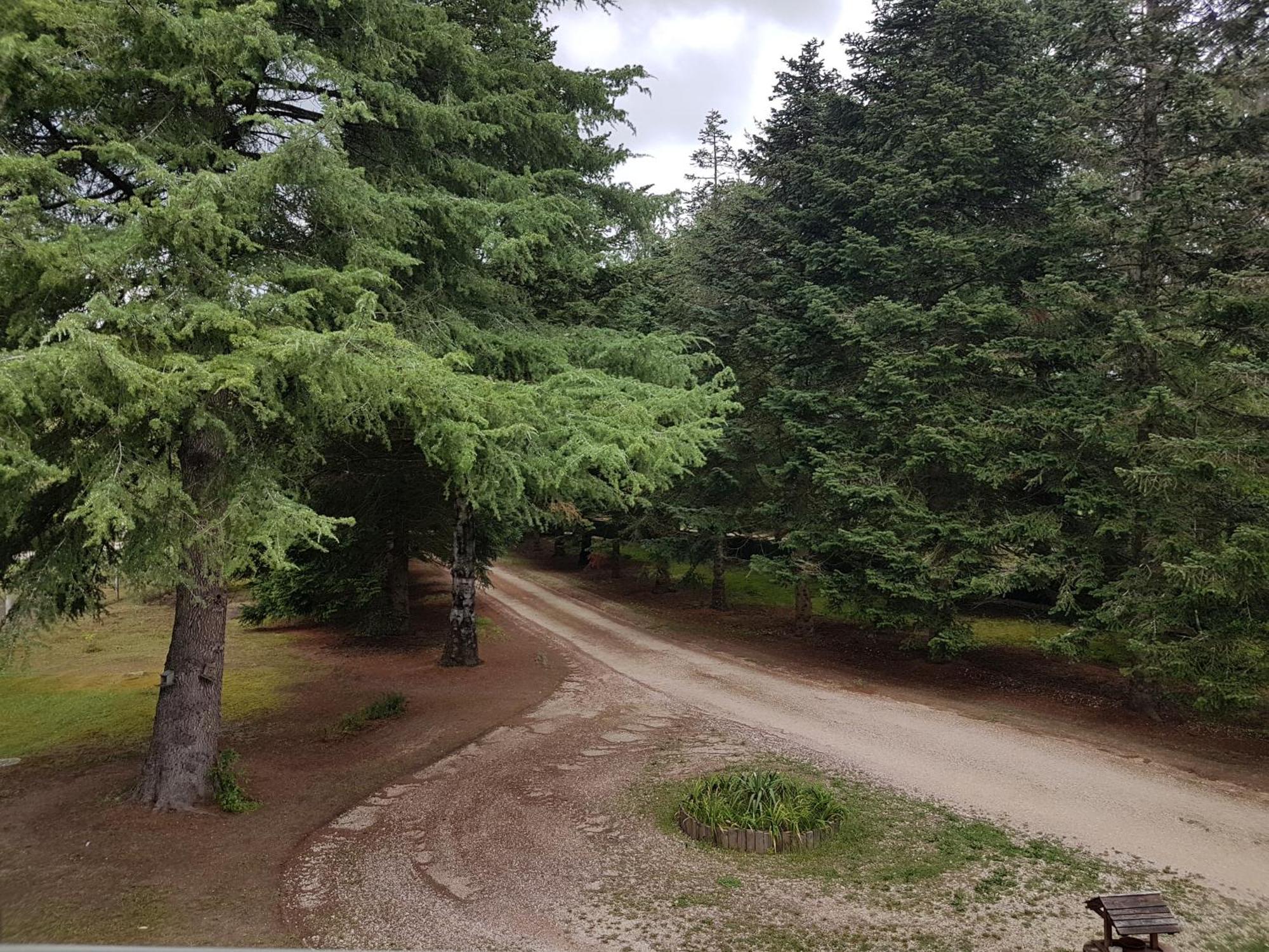 Le Clos Des Ecureuils Vouzon Kültér fotó