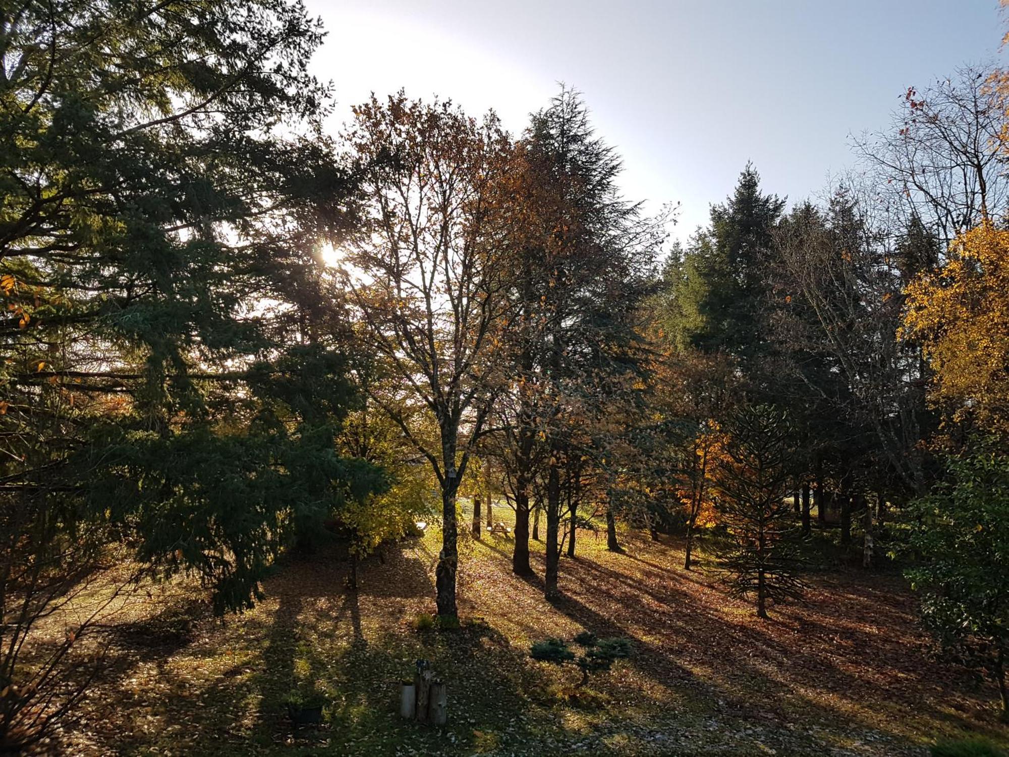 Le Clos Des Ecureuils Vouzon Kültér fotó
